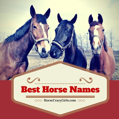 Best Horse Names