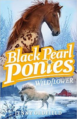 Black Pearl Ponies: Wildflower