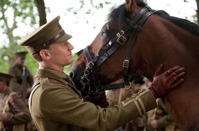 Being Checked (A War Horse Movie Picture)