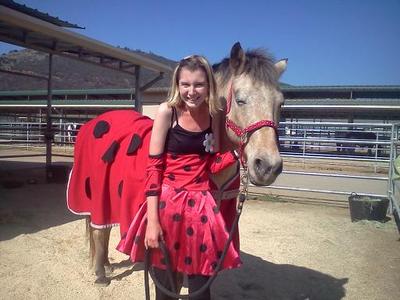 horse halloween costume charlie the ladybug