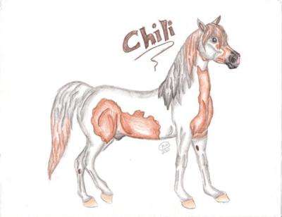 A drawing of a pinto Arabian horse. The horse is a chestnut and white pinto with a black muzzle. The horse is standing still and the word 'Chili" appears above the horse.