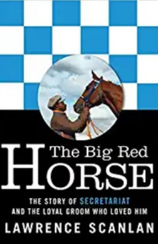 A picture of the book The Big Red Horse.