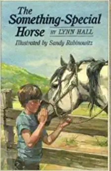 A picture of the book The Something-Special Horse.