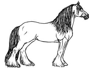 A pencil drawing of a Clydesdale horse standing still.
