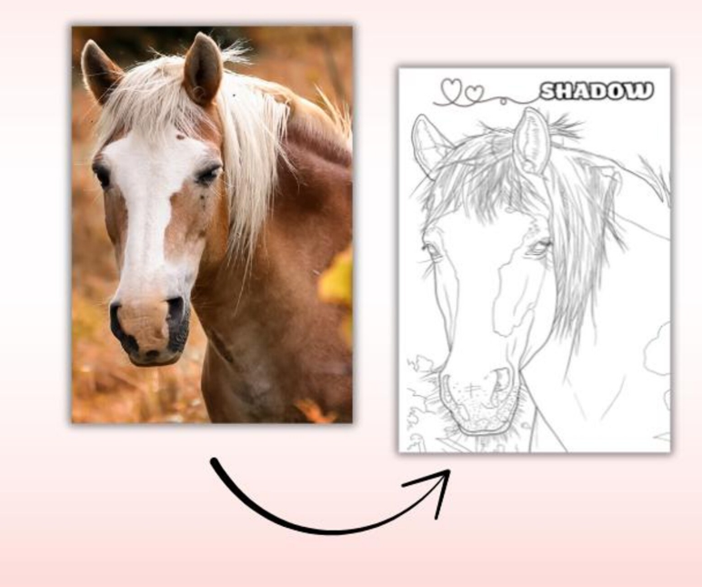 Custom horse coloring page from photo preview