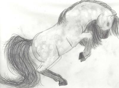 A pencil drawing of a rearing buckskin horse.
