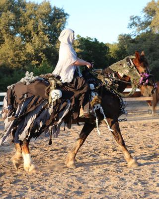 Awesome horse Halloween costume