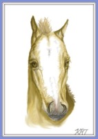 A drawing of a palomino foal's head. The foal has a white blaze and no forelock only a tuft of mane sticking up between its ears. The word 'KAT' is in the bottom right hand corner.
