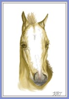 A drawing of a palomino foal's head. The foal has a white blaze and no forelock only a tuft of mane sticking up between its ears. The word 'KAT' is in the bottom right hand corner.
