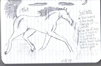 A pencil drawing of a horse trotting. There are fun facts about the horse written out to the right hand side. And the word 'Ellie' appears above the horse.