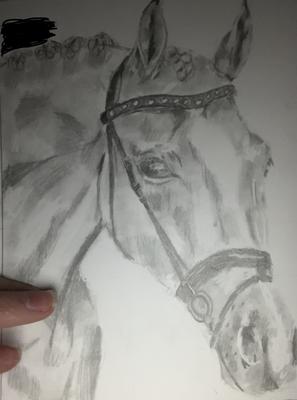 My best horse drawing