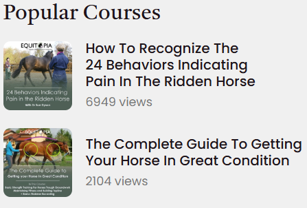 Image from Equitopia of some of their popular courses