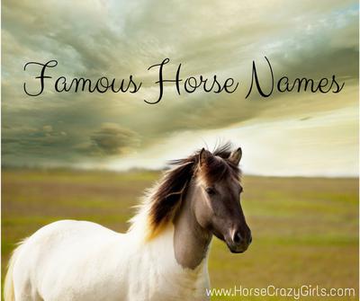 A paint pony with a white body and a dark dun spot that runs from halfway up its neck to cover its face standing in a meadow. In the background it looks like the run is rising and there are storm clouds moving out towards the left. Across the top in black lettering are the words Famous Horse Names.