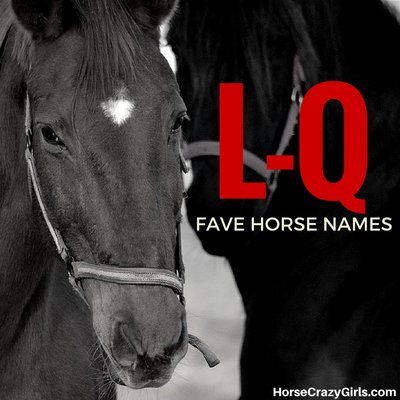 A black and white image of two horses. The first horse has a white star and is wearing a halter. The second horse, to the right of the other horse is all black and wearing a halter. L-Q appears in red font over part of the second horse's face and below that in white lettering there is Face Horse Names. In the bottom right corner in white lettering is www.horsecrazygirls.com You can see part of the ground between the two horses.
