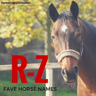 A bay horse with a white star wearing a halter with fleece. There is a tree, grass, and a wood fence in the background. The letters R-Z appear in red lettering to the left of the horse and below them in black lettering is Fave Horse Names. In the top left corner is www.horsecrazygirls.com in black lettering.