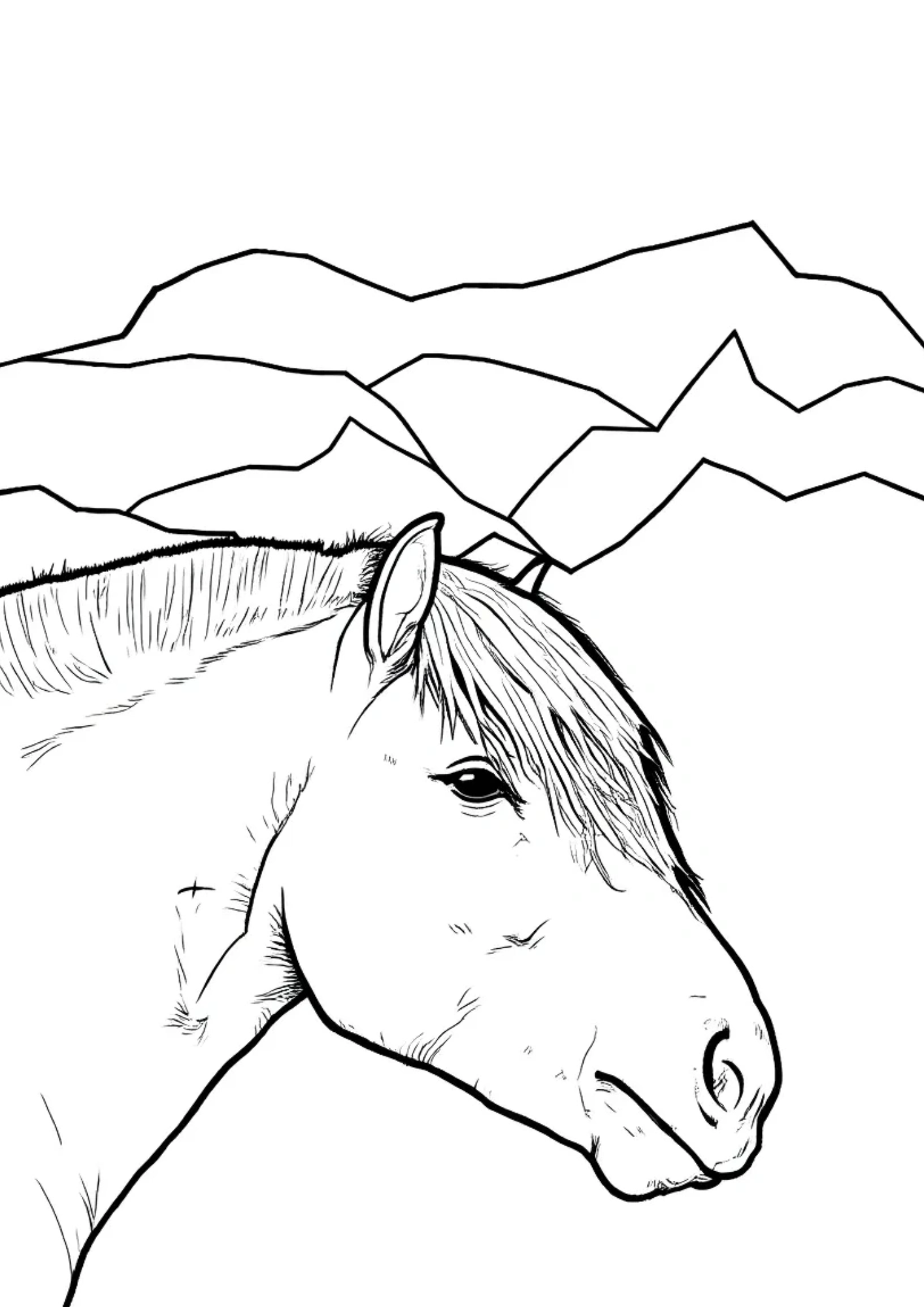 Fjord horse head coloring page featuring the distinctive Fjord breed