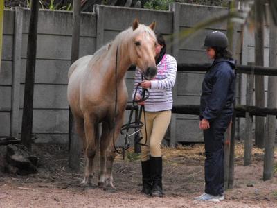 Showing my friend how to put a bridle on :) she had her first lesson on Bismark