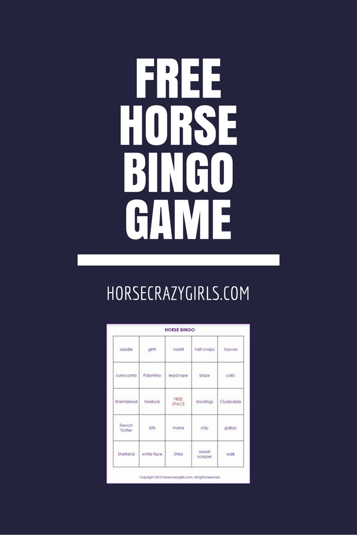 horse-bingo-game