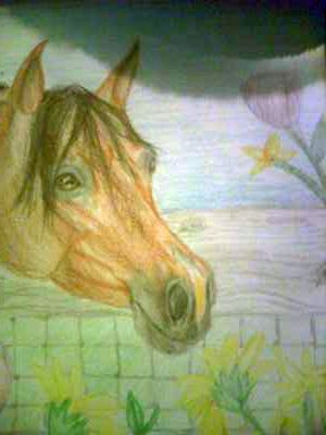 A drawing of a bay Arabian horse's head. There are yellow flowers, chicken wire, a wood fence, and a purple flower in the background. There is green grass on the ground and a blue sky.