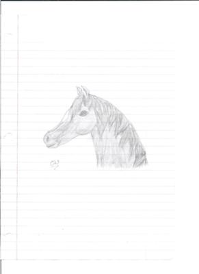 Shaded Horse Drawing
