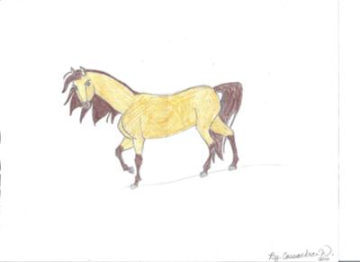 Horse Drawing Images: A Spectacular Collection of Over 999+ Stunning 4K Horse  Drawings