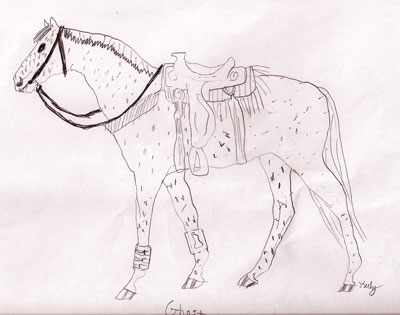 A pencil drawing of an Appaloosa horse wearing a western headstall, cinch, western saddle, saddle pad, breast collar, and boots.