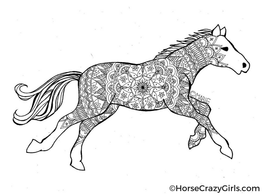 Gorgeous Horse Coloring Page