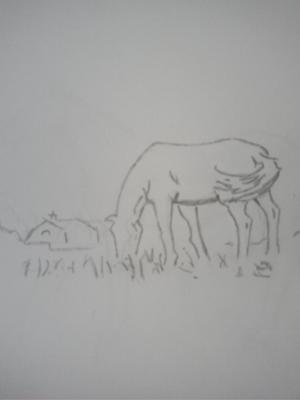 Grazing Horse by Anna