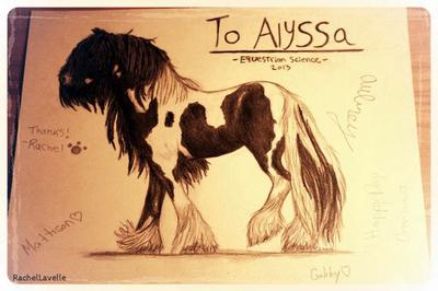 A charcoal drawing of a black and white Gypsy Vanner horse walking. There is writing on the paper around the horse along with 'To Alyssa' at the top.