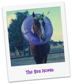 A horse dressed like he or she is ready to go swimming with a pool floaty around its neck and goggles and a snorkel on.