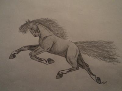 Witch's Broom Horse