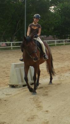 Me, riding Masgar, one of the school horses.