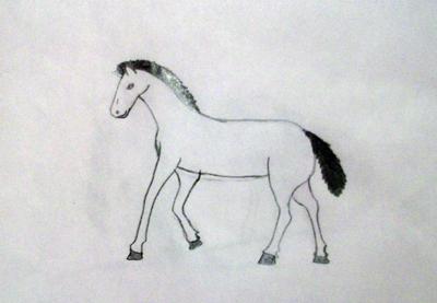 A pencil drawing of a Hanoverian foal walking.