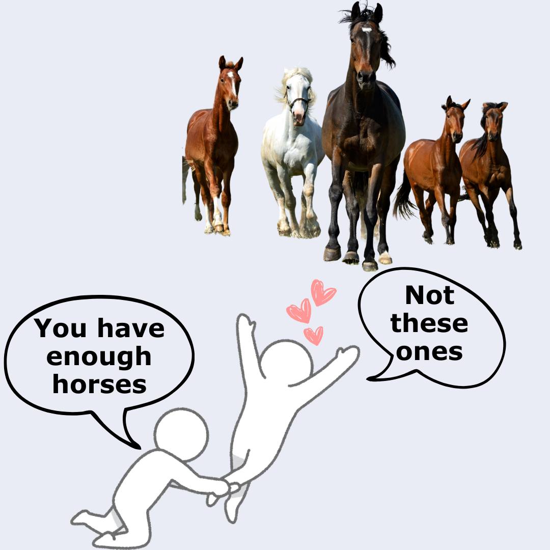 Text