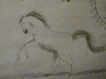 A pencil drawing of a horse rearing in a field or grass. The sun is up above.