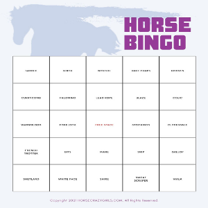 Free printable horse bingo card for horse themed party