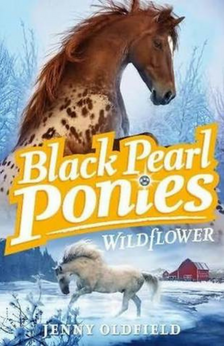 Black Pearl Ponies by Jenna Oldfield book cover