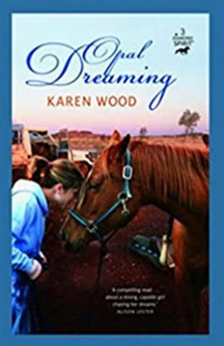 Diamond Spirit by Karen Wood book cover