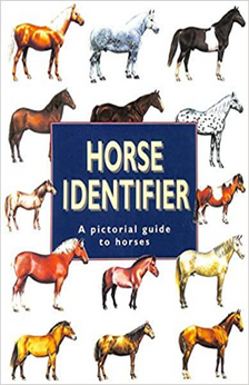 Horse Identifier by Jeremy Hardwood book cover