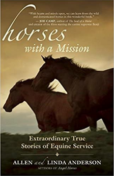 A picture of the book Horses With A Mission.