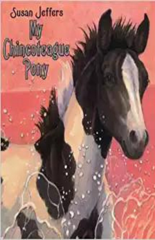 A picture of the book My Chincoteague Pony.