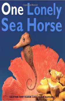 One Lonely Seahorse by Saxton Freymann, Joost Elffers book cover