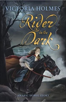 Rider in the Dark by Victoria Holmes book cover
