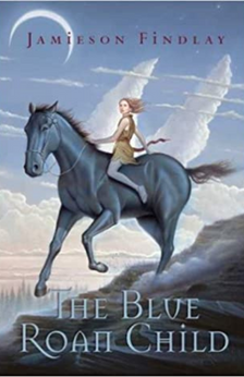 The Blue Roan Child by Jamieson Findlay book cover