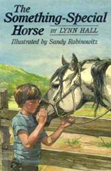 The Something-Special Horse by Lynn Hall book cover