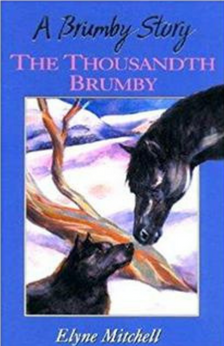 The Thousandth Brumby by Elyne Mitchell book cover