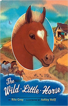The Wild Little Horse by Rita Gray book cover
