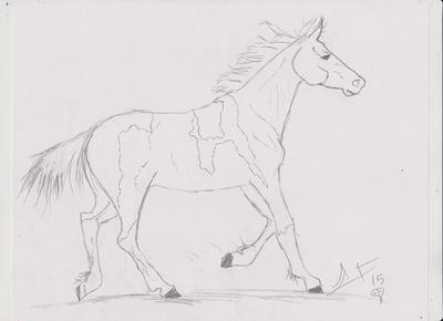 Basuto Running Horse
