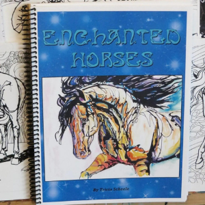 Fantasy Horse Coloring Book for Teens and Young Adults