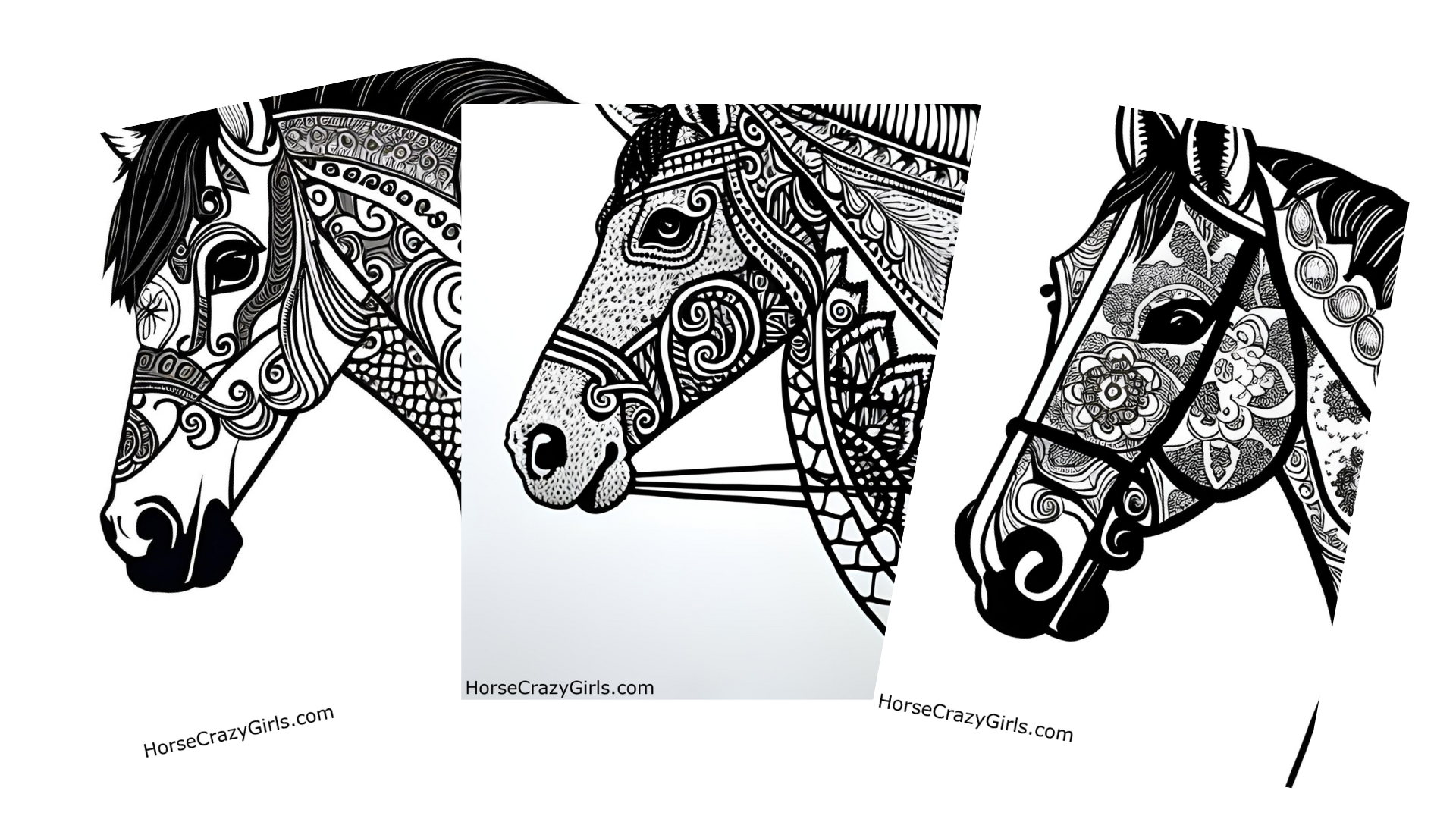 Horse Tracing Pack Coloring Page